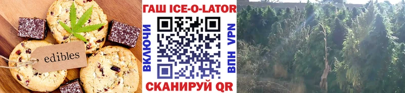 наркотики  Владимир  Cannafood конопля 