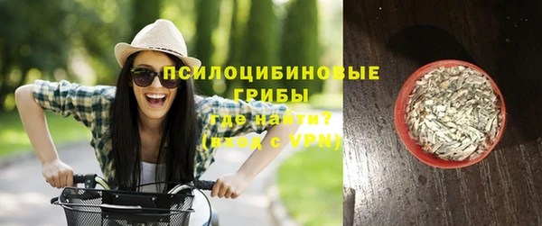 PSILOCYBIN Абинск