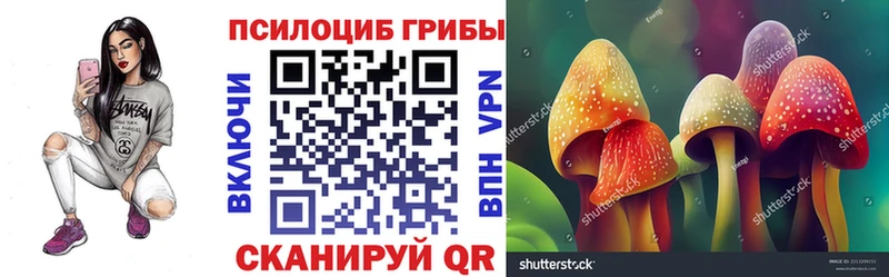 Псилоцибиновые грибы Magic Shrooms  Владимир 
