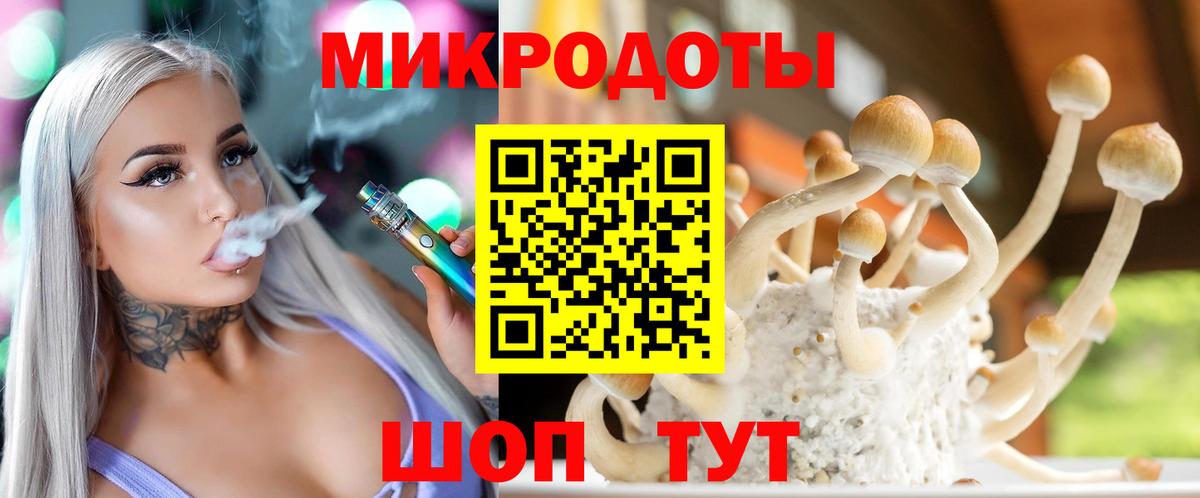 Владимир  Галлюциногенные грибы GOLDEN TEACHER  Вход с VPN 