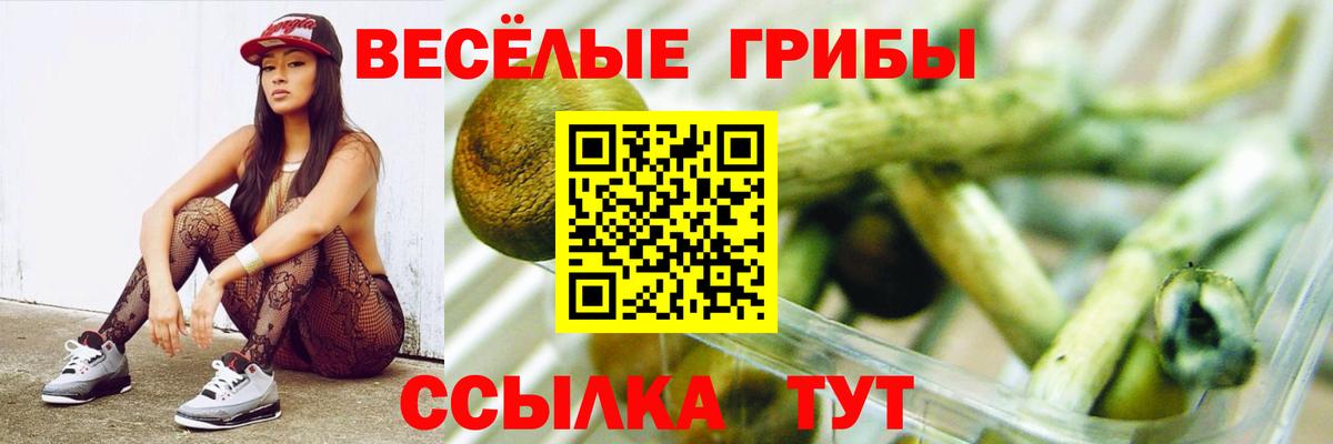 Галлюциногенные грибы ЛСД Владимир